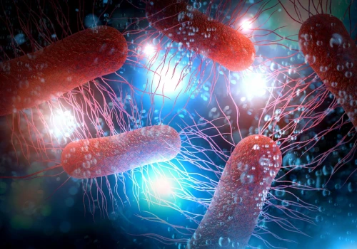Zmodyfikowany probiotyk skuteczniej chroni przed groźną bakterią