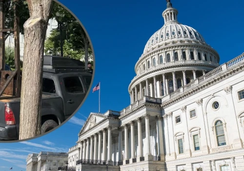 Przyjechał z drugiego końca USA z gilotyną. Stanęła przed Kapitolem