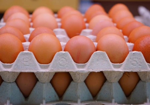 Salmonella w jajach z belgijskiej fermy. Skażone partie mogły trafić do Polski