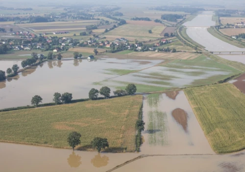 Pokazali mapę Polski za kilkadziesiąt lat. Żuławy są w strefie największego ryzyka