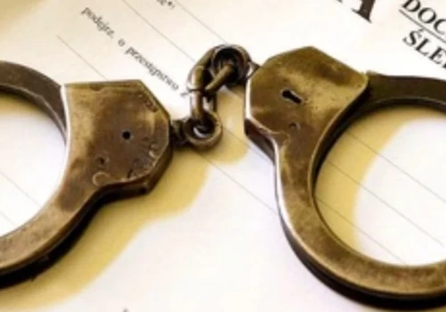 Odpowiedzą za kradzież i znęcanie się. Dwóch poszukiwanych w rękach policji