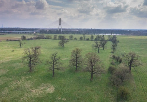Radni mają dziś głosować nad ostateczną wersją planu ogólnego Wrocławia