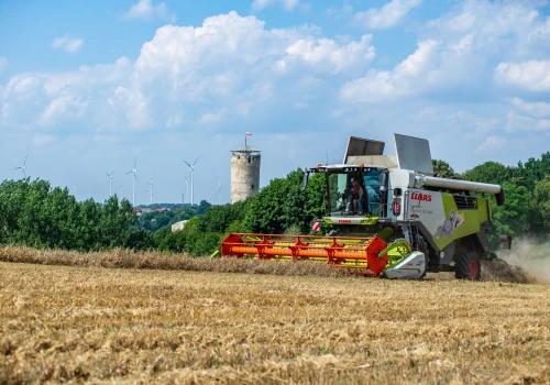 Ceny jęczmienia 2026. Między skupami nawet 20 tys. zł różnicy przy 100 tonach