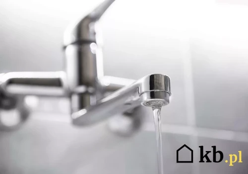 Śmierdzi kanalizacją mimo czystego syfonu? Sprawdź ten element na dachu