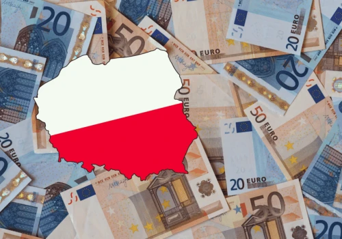 Członkini RPP Joanna Tyrowicz przekonuje do euro. Badania pokazują koszt utraty złotego