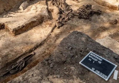 Szczątki ponad 150 osób