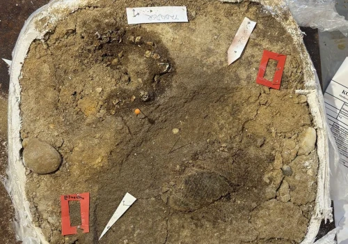 Archeolodzy czegoś takiego jeszcze nie widzieli. W grobie wikińskiej dziewczynki przetrwała niezwykła zawartość
