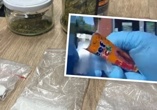 Ukryli narkotyki w przysmakach dla psa. Zaskakująca kontrola w Namysłowie