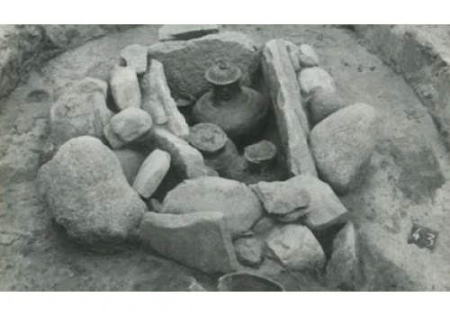 Historia zapisana w kościach