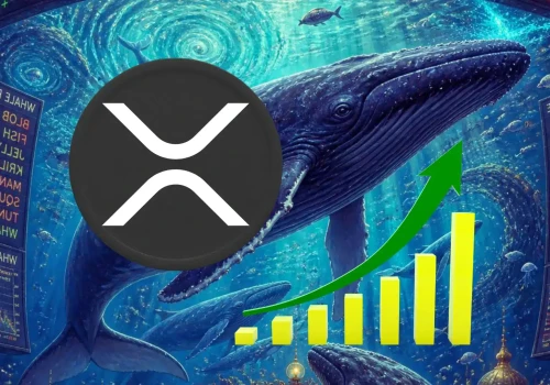 Ponad 231 mln XRP znika z giełd. Co planują wieloryby i jak zareaguje kurs XRP?