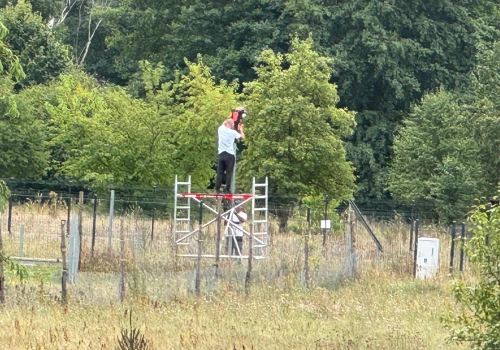 Postawili słupy, po dwóch godzinach robotnicy z pomocą urzędników je rozebrali. Dziwna inwestycja gminy Boleszkowice