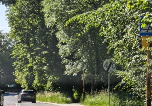 Piszą mieszkańcy, alarmują aktywiści, interweniują radni. Za zarastające przejścia wzięła się policja