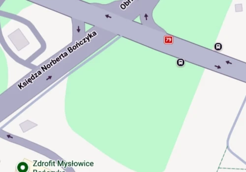 Park linowy powstanie na Katowickiej? Miasto chce wydzierżawić duży teren na 30 lat. Fot. Google Maps