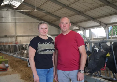 Doili 50 krów do konwi, dziś mają dwa roboty. „Tak dłużej nie mogliśmy pracować”