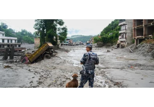 Ponad 350 ofiar, a tragiczny bilans rośnie. Co się wydarzyło w Nepalu?