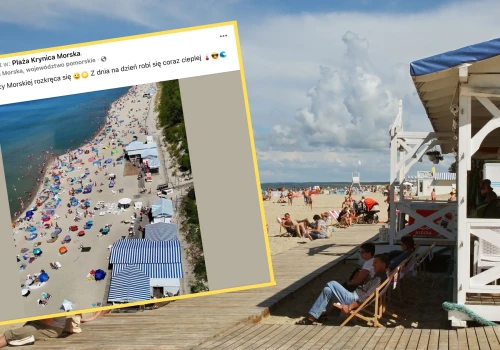 Pokazali zdjęcie z Krynicy Morskiej. Mówią wprost. 