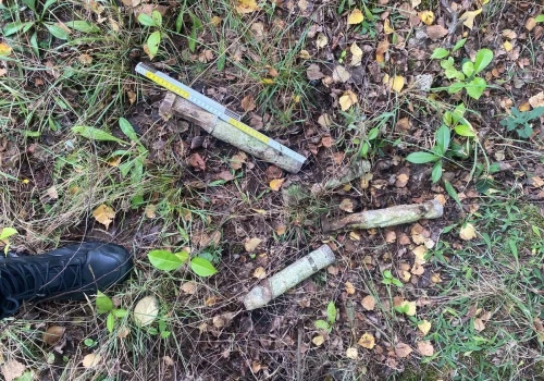Wybierając się na grzyby do lasu możesz znaleźć bombę!