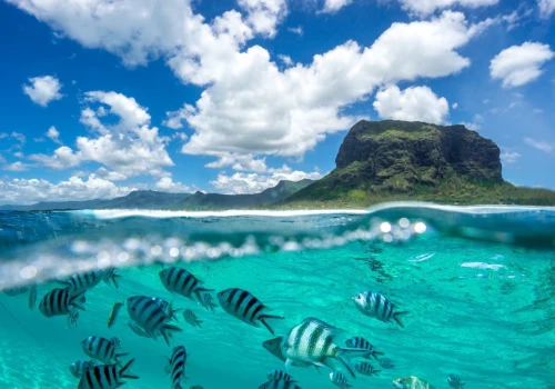 Tani urlop na Mauritiusie za 2919 PLN 😎🌴 W cenie loty + noclegi nad oceanem 😍🌊