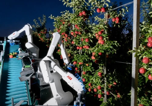Robot zamiast pracownika w sadzie? Jeden wpis wywołał lawinę komentarzy