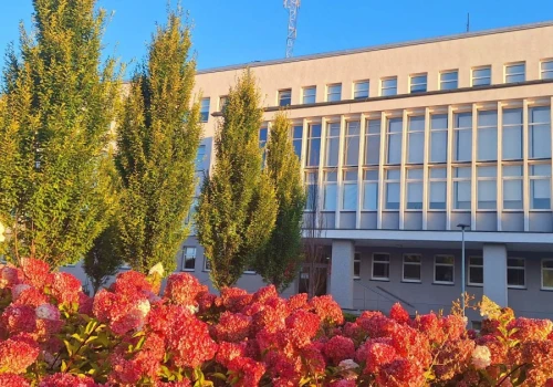 Młodzi wchodzą do gry. W powiecie kolskim powstanie dla nich rada