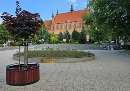 Ukryte perełki Warmii i Mazur. Naukowcy wskazali najpiękniejsze miejsca w regionie