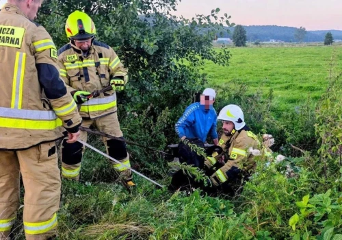 Byk wpadł do rowu i nie mógł się wydostać. Rolnik wezwał strażaków
