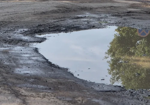 Mieszkańcy Nysy stracili cierpliwość. Kolejna petycja od wzburzonych mieszkańców wpłynęła do władz miasta