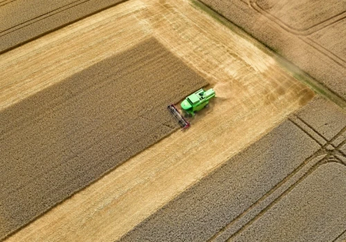 Brak miejsca dla 10 milionów ton zbiorów. Co się stanie z ukraińskim zbożem?