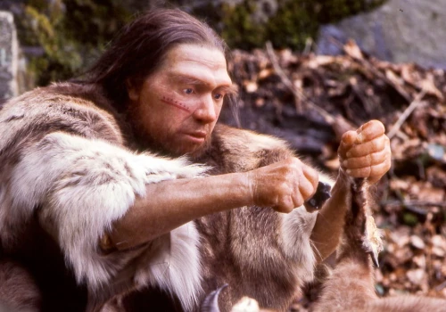 Szkielety neandertalczyków podważają znane przekonanie o ewolucji