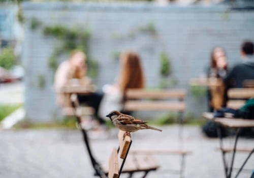 Burzowa sobota, pogodna niedziela. Tak zapowiada się weekend w Łódzkiem