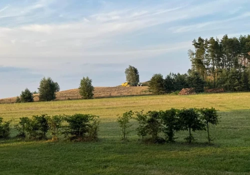 KOWR odda w dzierżawę 203 ha na Dolnym Śląsku. Co wchodzi w skład gospodarstwa?
