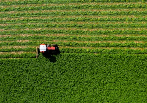 Nawet 500 zł do hektara. Nowy pakiet rządowej pomocy dla gospodarstw rolnych