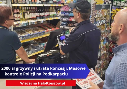 Nawet 2000 zł grzywny i utrata koncesji. Masowe kontrole Policji na Podkarpaciu