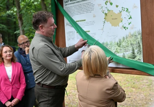 Duża zmiana w lasach wokół miast. Trwają prace nad nowym modelem ochrony