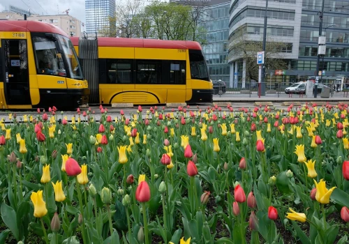 To najdłuższa linia tramwajowa w Polsce. Ma aż 49 przystanków