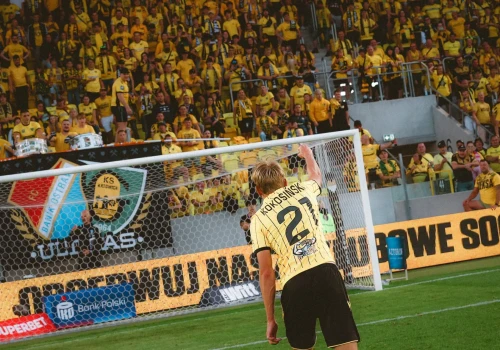 GKS Katowice pomaga zwierzętom. Ruszyła zbiórka dla katowickiego schroniska