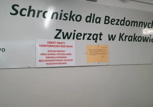 Konflikt w krakowskim schronisku. KTOZ: działania wolontariuszy zagrażały zwierzętom