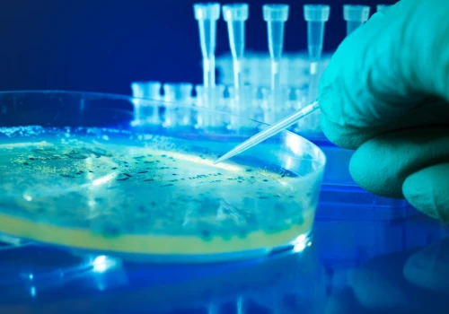 Nanocząsteczki cofnęły objawy choroby Alzheimera. Przełomowa terapia z USA