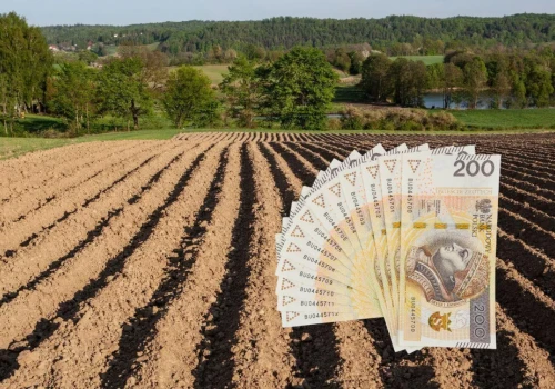 Ceny ziemi rolnej klasy IIIb i IV. Sprawdź, ile kosztuje hektar w Twoim województwie