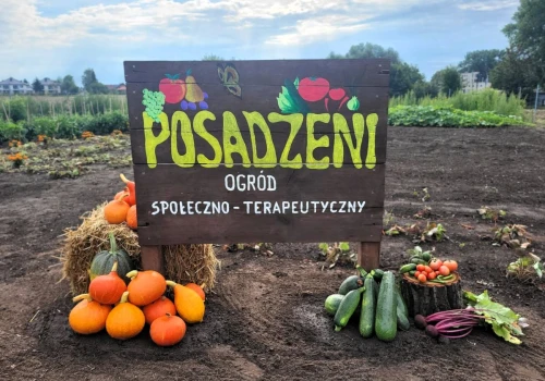 Osadzeni wyszli poza mury aresztu. W Krakowie powstał ogród „Posadzeni”