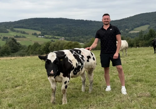 Belgian Blue w polskim wydaniu – małe gospodarstwo, wielka specjalizacja