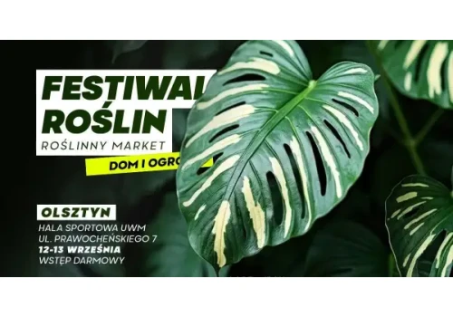Wielkie święto zieleni w Olsztynie. Festiwal Roślin zawita na Kortowo
