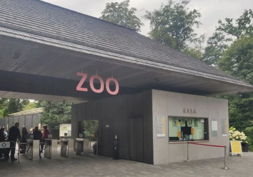 Nowi mieszkańcy krakowskiego ZOO. Maksito i Zorza już zachwycają