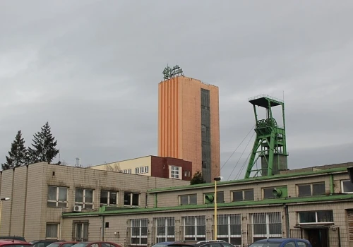 Czesi: 