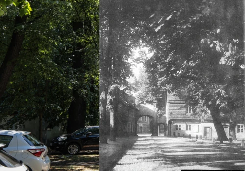 Świdnica wczoraj i dziś. Plac Pokoju