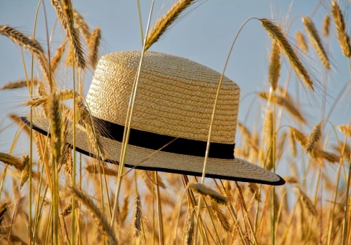 Wakacje się kończą, ale upał wraca. Termometry pokażą nawet 32°C