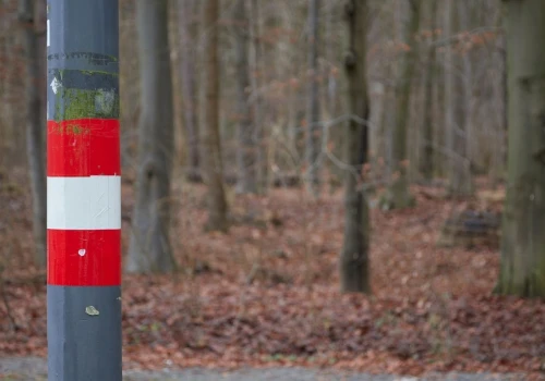 Zignorujesz ten symbol na latarni i zapłacisz mandat. Kierowcy popełniają ten błąd za granicą