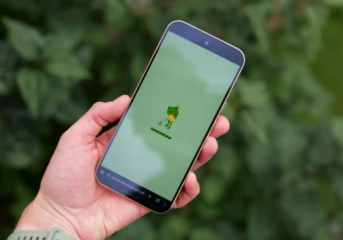 Prognoza pogody z niespodzianką. Google udostępnia grę z kultową żabą