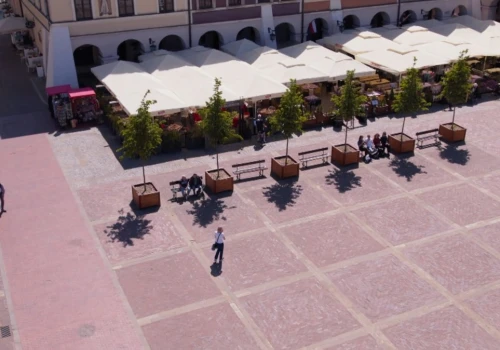 Nietypowy pomysł w polskim mieście. Na rynku pojawiły się przenośne drzewa
