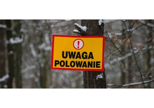 Ostra walka o podpisy pod projektem zmian w prawie łowieckim. Przeciwnicy straszą i manipulują